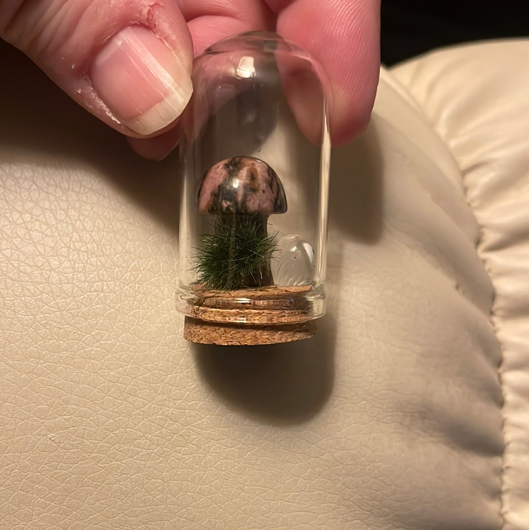 Mini Mushy Terrarium