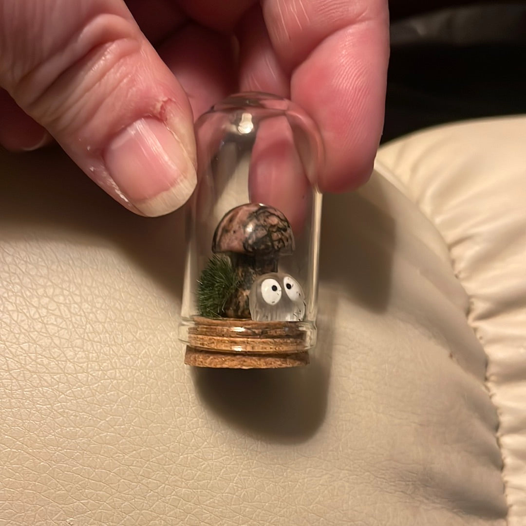 Mini Mushy Terrarium